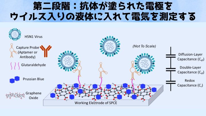 空気中の鳥インフルエンザウイルスを「5分で検出」できる小型センサーを開発
