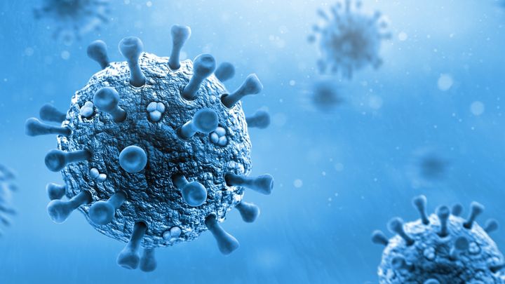 空気中の鳥インフルエンザウイルスを「5分で検出」できる小型センサーを開発