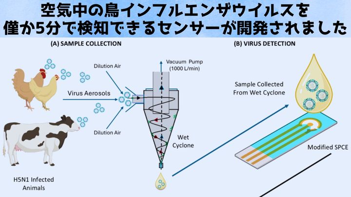 空気中の鳥インフルエンザウイルスを「5分で検出」できる小型センサーを開発