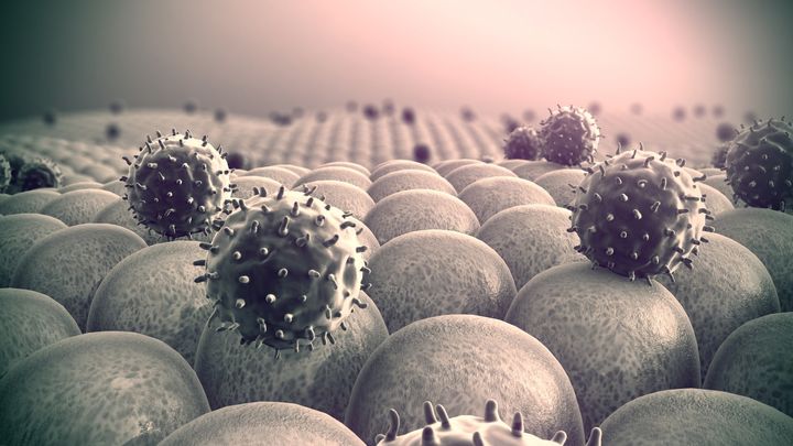 ある一般的なワクチンは認知症のリスクを20％も減らす効果があった【Nature】