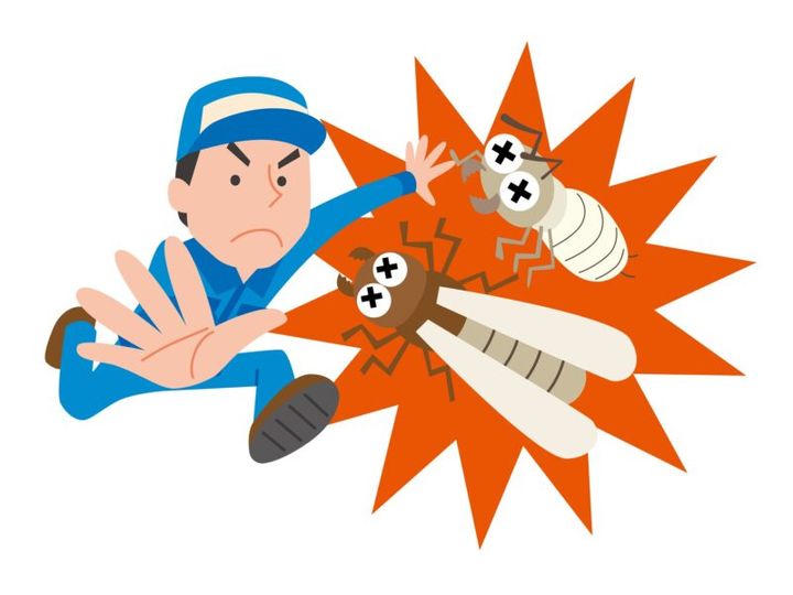 シロアリの危険度チェック