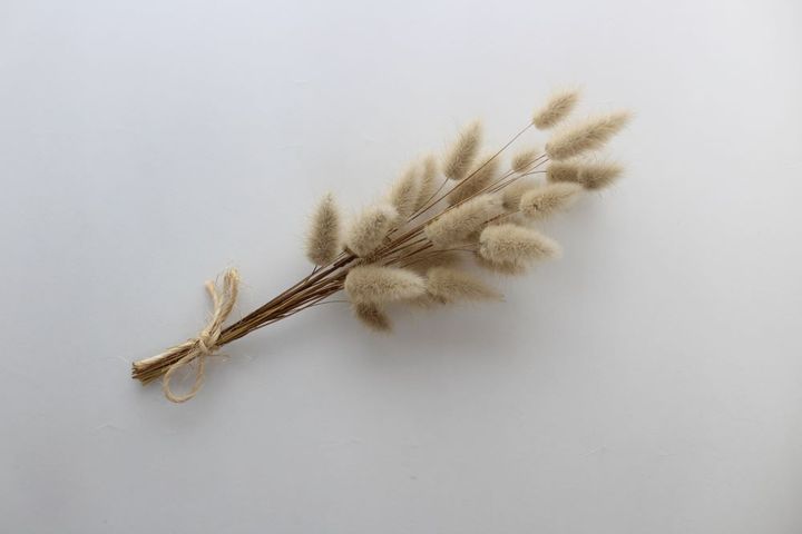 ラグラスのドライフラワー