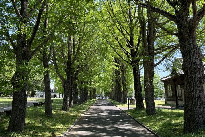 レトロな擬洋風建築の「茨城県立歴史館」で水戸の歴史に浸りましょう