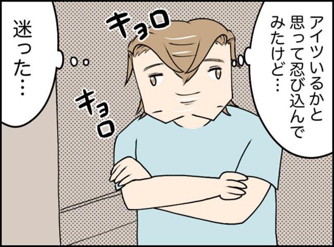 カボチャとシンデレラ／イルカ