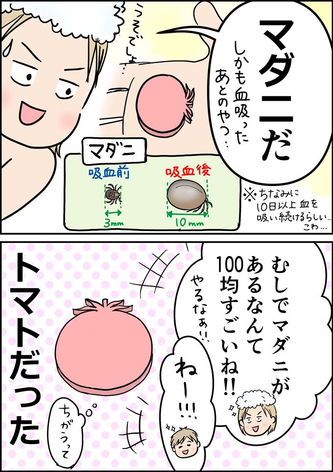 「マダニだ」100均のおもちゃにマダニ？ 虫好き次男が気づいたけれど…【うちの男子（だんご）4兄弟・19】の画像4