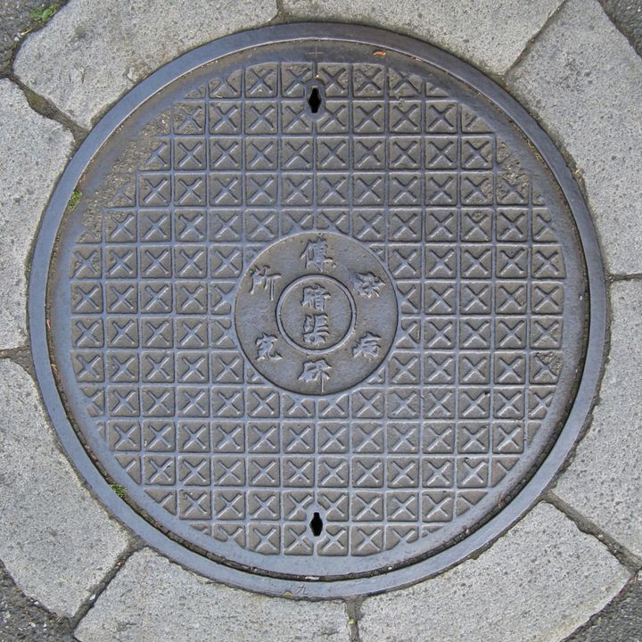 東京帝国大学附置 傳染病研究所の蓋