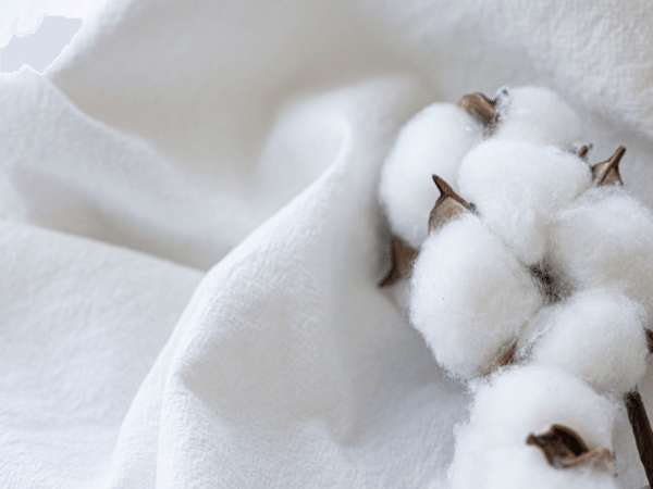 絶対に失敗しない！春キャンプ寝袋の選び方と注意点を上級キャンパーが徹底解説