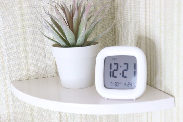 ダイソーのフラットコーナーラック（23cm×23cm）に飾る