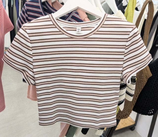 マルチボーダークロップドTシャツ