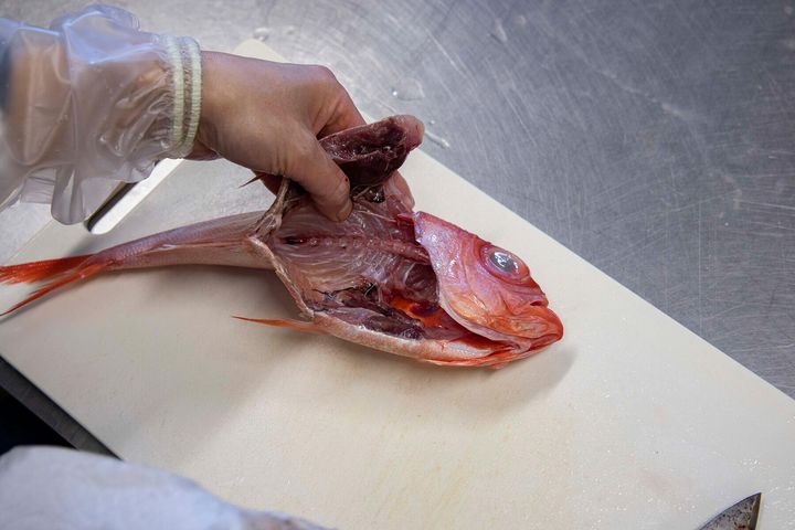 水気を拭き取る