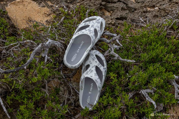 旅するサンダルとTシャツ。西表島の自然をまとう《KEEN》のチャリティコレクションをチェック