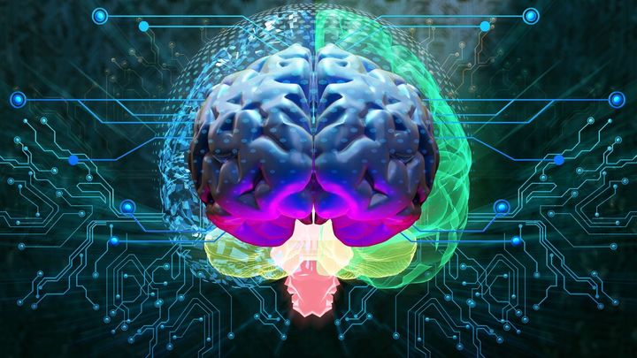 AIの力を活用し「マウスの電子脳」を作成することに成功