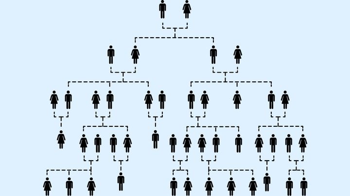 無性愛の出現を家族構成という新たな切り口で見る
