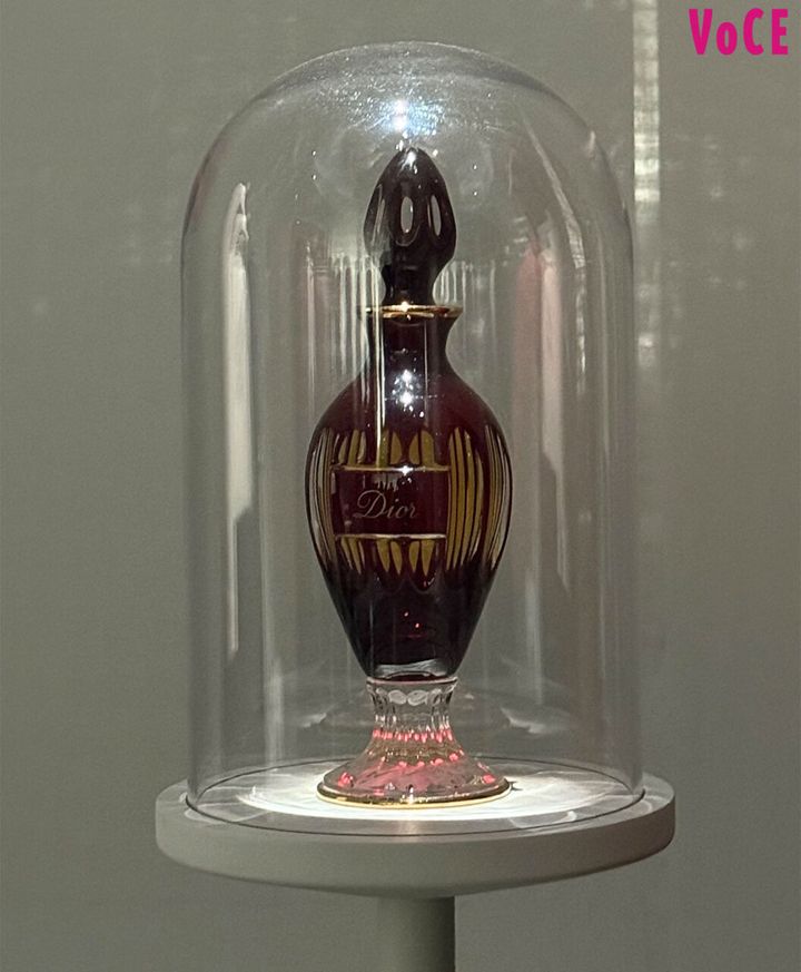 【2025大阪・関西万博】注目のフランスパビリオンの見どころ徹底解説！【ルイ・ヴィトン、ディオール、セリーヌ】