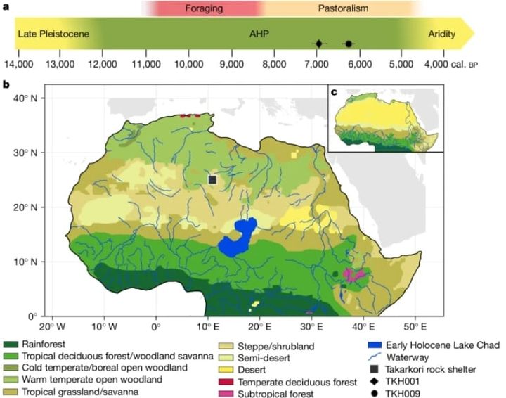 失われたサハラ文明の一端を探る