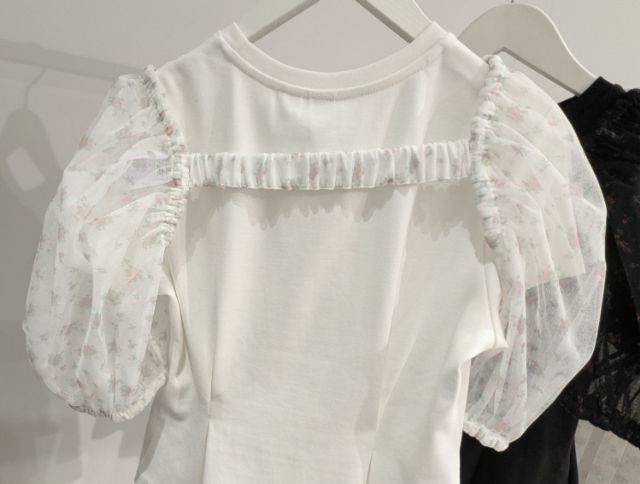 ボレロセットTの背面