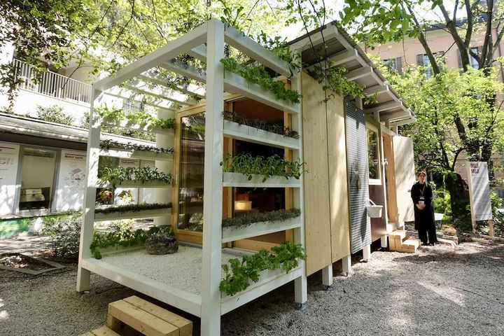 画像1: MUJI｜MUJI MUJI 5.5