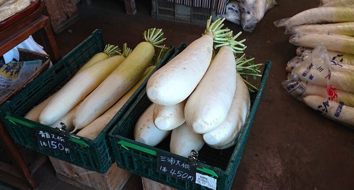 ゴルフ旅にオススメ！ラウンドのあとは自然豊かな自然島でリラックスしよう