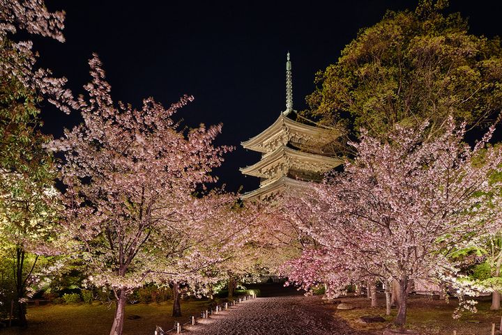 250417-dior-kyoto (2).jpg