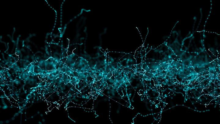 重力と電磁気、向きが違う同じシワ