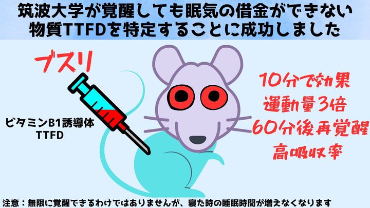 筑波大学が覚醒し続けても「眠気の借金」は溜まらない物質を特定