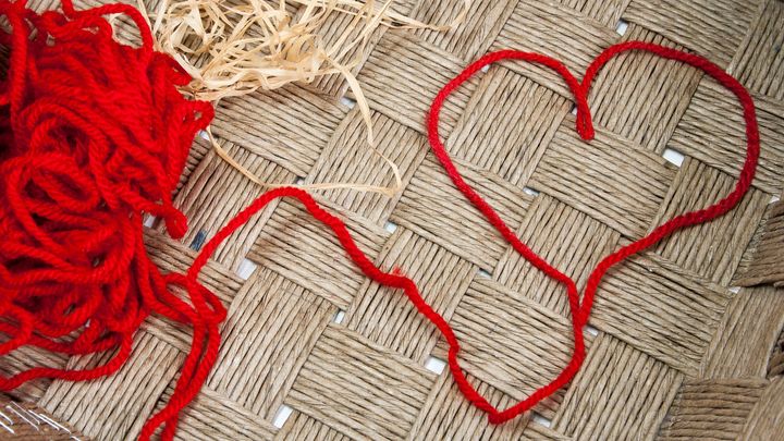 シンデレラ思考 VS 盆栽思考