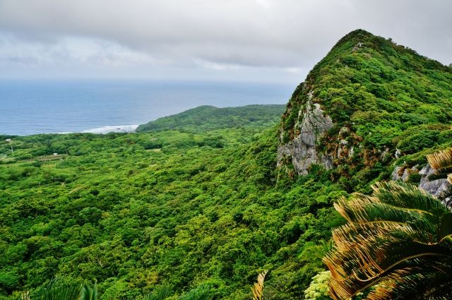 魂レベルを診断する心理テスト 森林