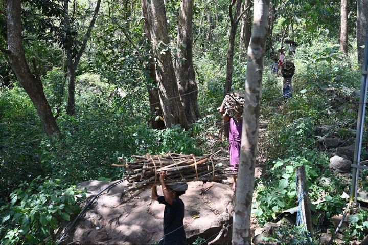 薪を集める仕事をする村の女性たち