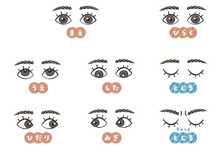 眼球を動かすエクササイズ イラスト