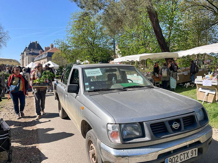 苗の持ち帰りサービス