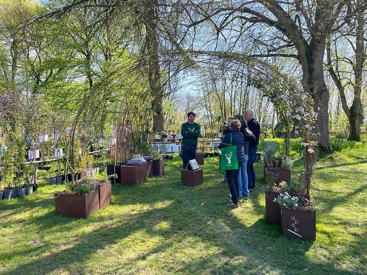 スティール製ガゼボ