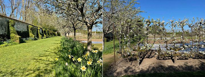 サン=ジャン=ド=ボールギャール城のポタジェ