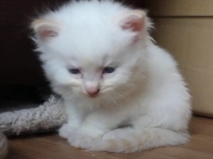 睡魔に負けちゃいそう…？