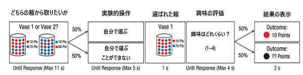本実験の流れを示した図