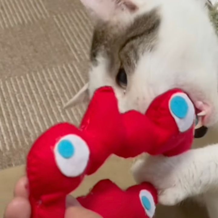 ミャクミャク様vs猫とのバトル、さきイカが生まれそうな結果に