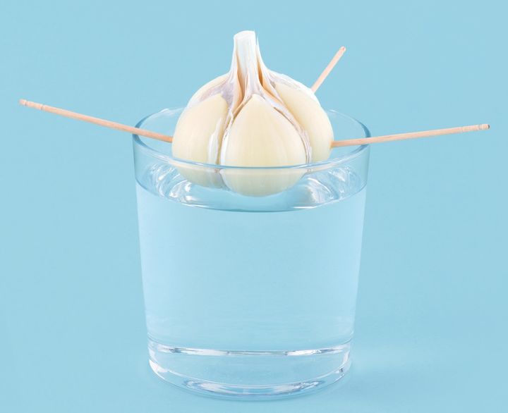 【ニンニク】美味しい芽がぐんぐん育つ。