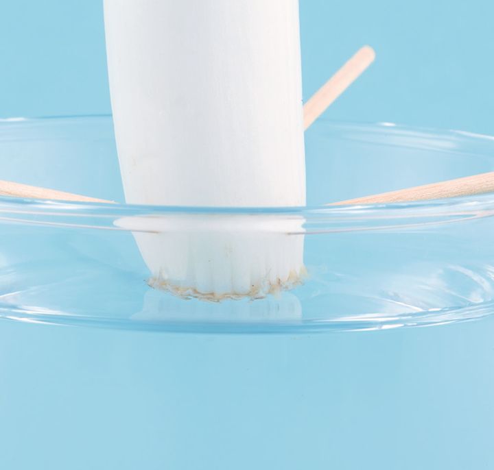 水面に浮かせるように水の量を調節！