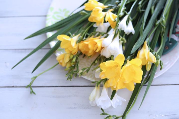 フリージアのアレンジ