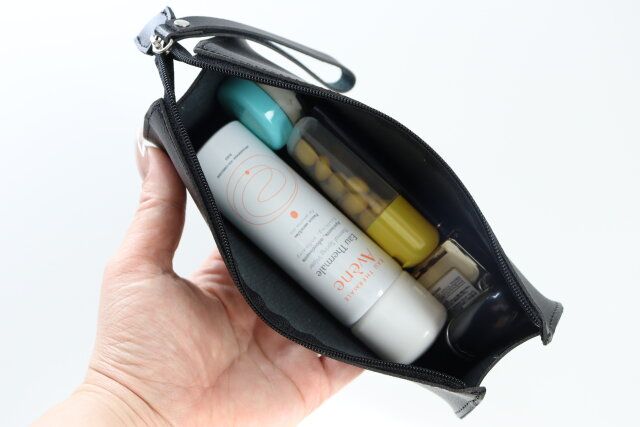 ダイソー マルチポーチ（ベーシック） 質感 使用例 コスメ 小物