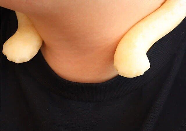 ダイソーの大人気クールネックバンド（L）