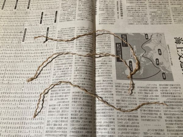 上級キャンパーがおすすめ！100均アイテムだけを使った焚き火を紹介！