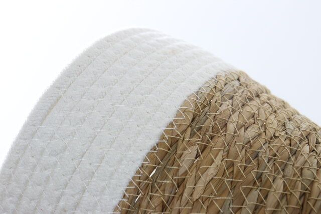 ダイソーの2層のローブ水草バスケット（20cm）