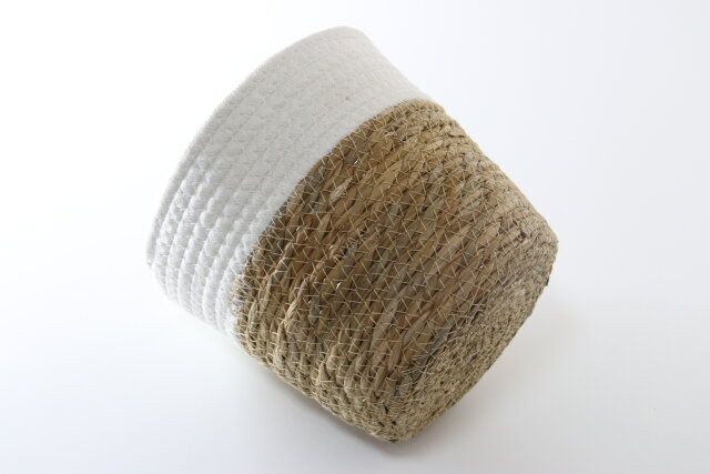 ダイソーの異素材のローブ水草バスケット（20cm）