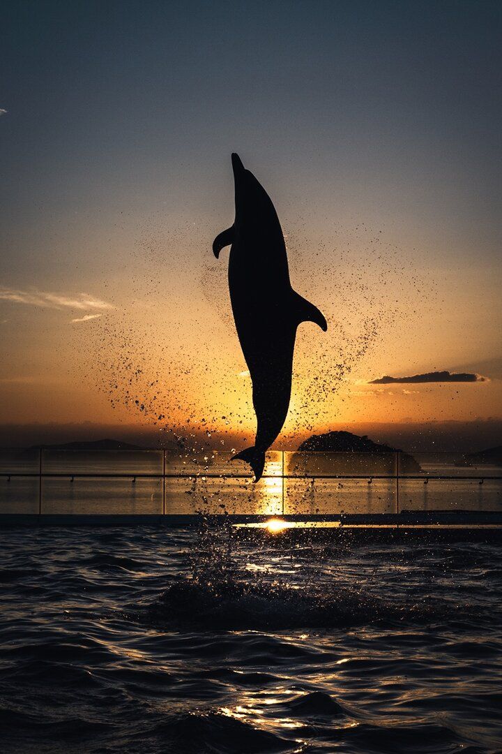 GWのイベント情報【西日本編】