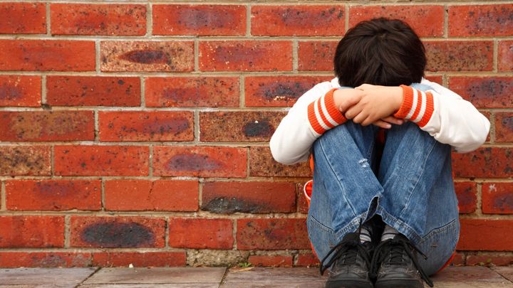 まとめ：いじめ行動と人間社会のこれから