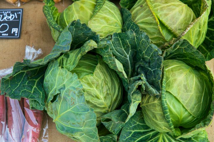 鎌倉の暮らしに少しだけ触れる♪朝採れ野菜と手づくり惣菜がそろう「ハレトキ 晴レ時々野菜」