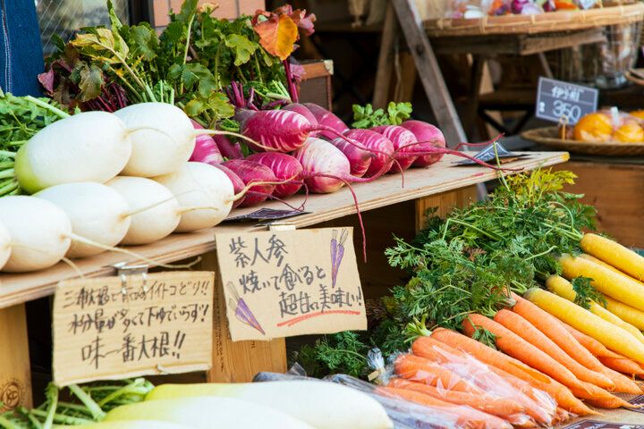 鎌倉の暮らしに少しだけ触れる♪朝採れ野菜と手づくり惣菜がそろう「ハレトキ 晴レ時々野菜」
