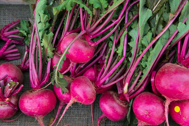 鎌倉の暮らしに少しだけ触れる♪朝採れ野菜と手づくり惣菜がそろう「ハレトキ 晴レ時々野菜」