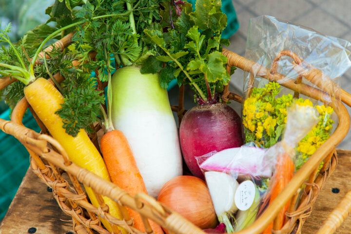 鎌倉の暮らしに少しだけ触れる♪朝採れ野菜と手づくり惣菜がそろう「ハレトキ 晴レ時々野菜」