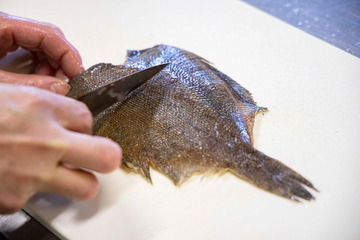 鱗を取る